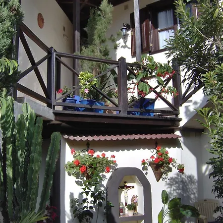 Rustic With Small Patio-terrace Apartment Icod De Los Vinos