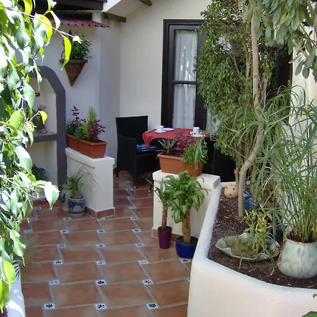 Rustic With Small Patio-terrace Apartment Icod De Los Vinos