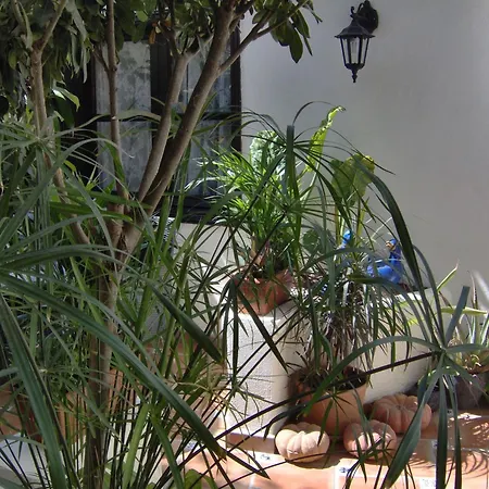 Apartment Rustic With Small Patio-terrace Icod De Los Vinos