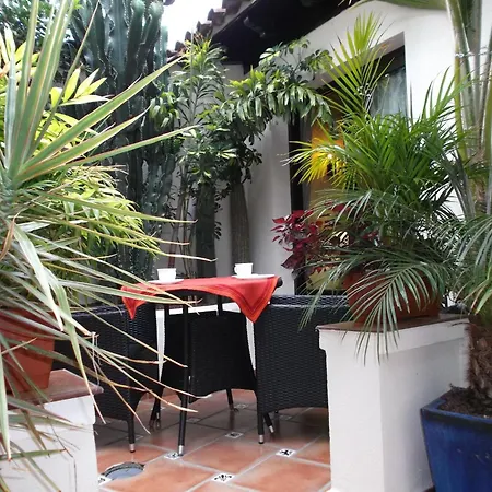 Apartment Rustic With Small Patio-terrace Icod De Los Vinos