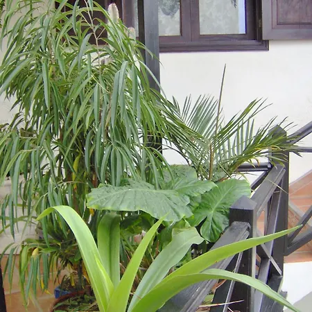 Lejlighed Rustic With Small Patio-terrace *