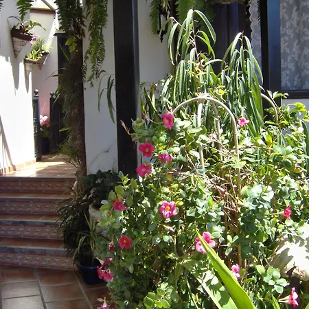 شقة Rustic With Small Patio-terrace إيكود ذي لوس فينوس