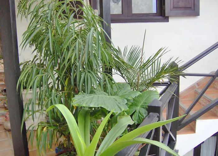 Apartamento Rustic With Small Patio-terrace *