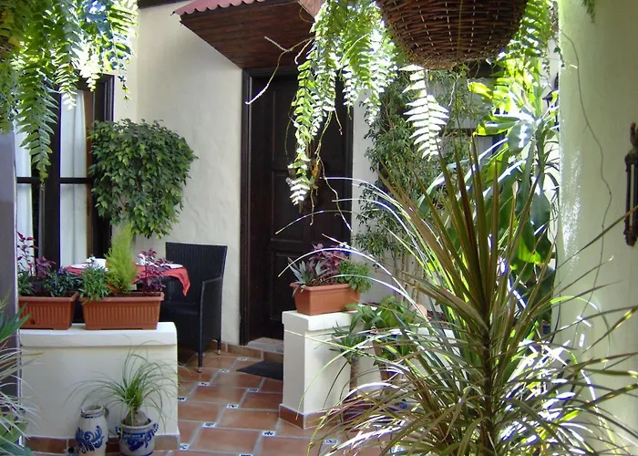 Rustic With Small Patio-terrace * Icod De Los Vinos
